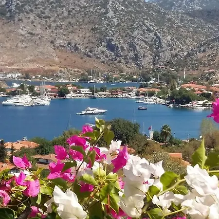 Masal Tatilevi فندق