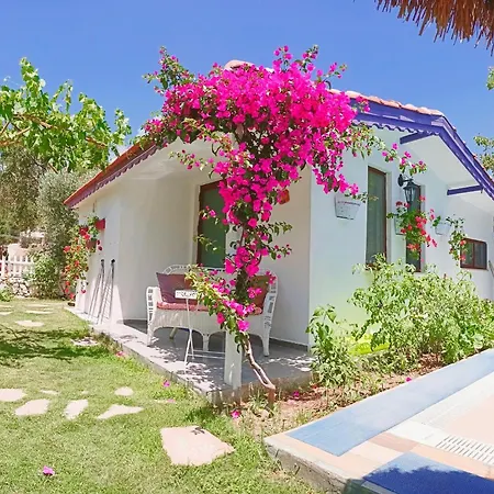 Masal 3* Селемие