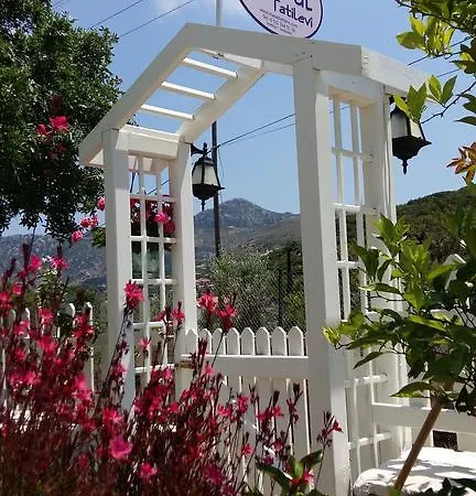 Masal Селемие