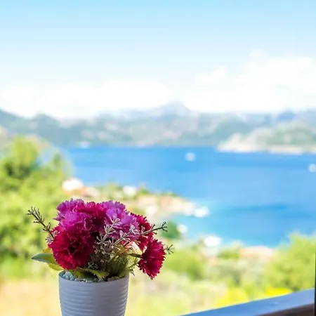 Hotel Masal