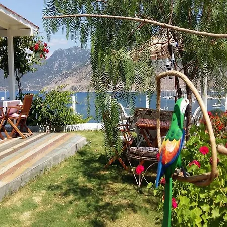 Отель Masal 3*