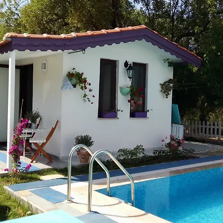 Hotel Masal 3*