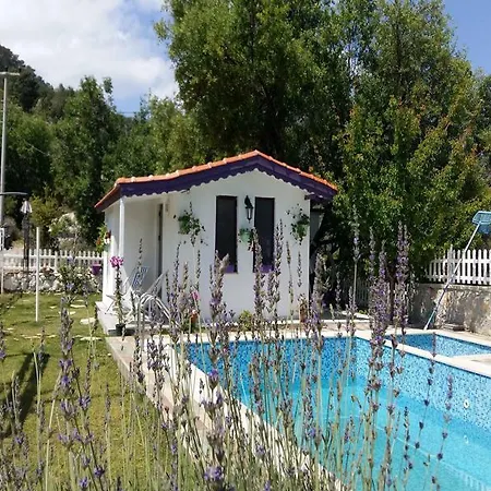 Masal Селемие